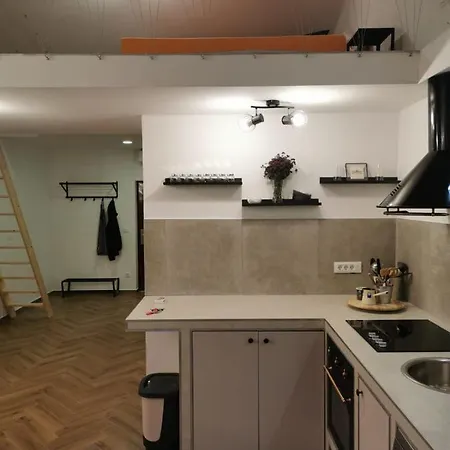 Apartment Nonno * ロヴィニ